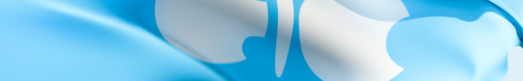 OrganisationOPEC_Logo