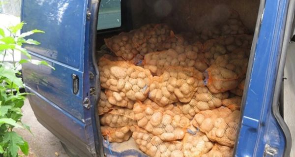 Tvrdil, že veze brambory. Když celníci nahlédli dovnitř, nevěřili vlastním očím!