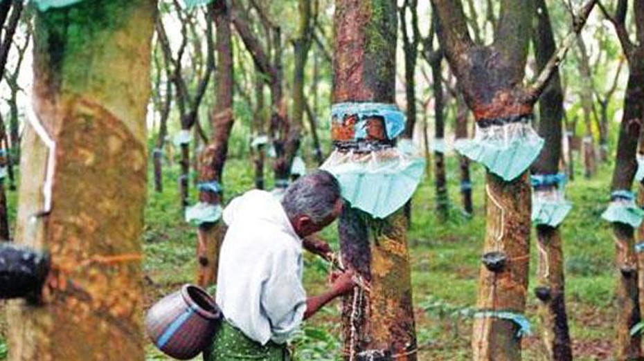 Rubber industry calls for SVAT removal delay, warns of liquidity crunch | EconomyNext