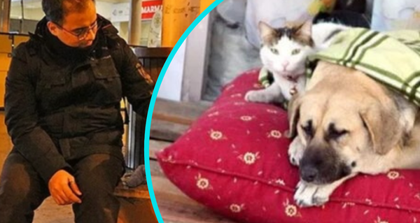 Zubář s velkým srdcem: po práci chodí v mrazu po městě a přikrývá opuštěné psy a kočky dekami