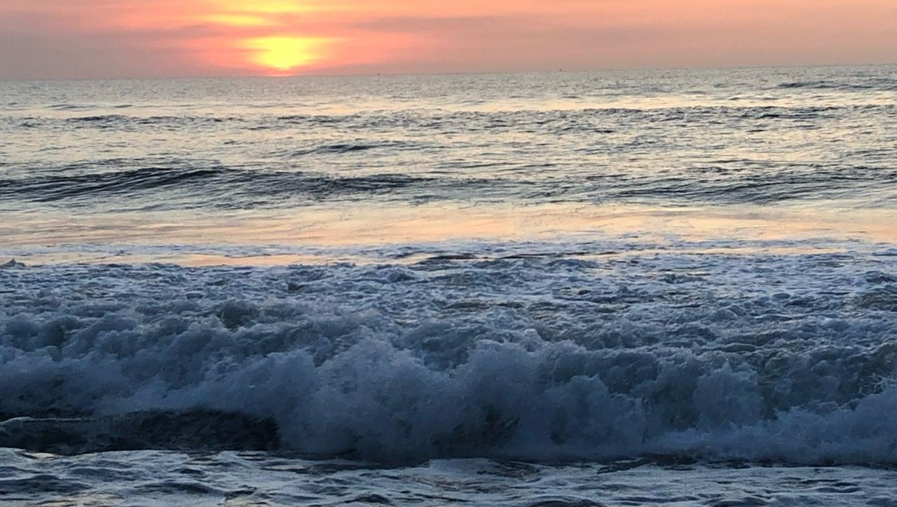 Sri Lanka targets more European tourists amid ambitious target | EconomyNext