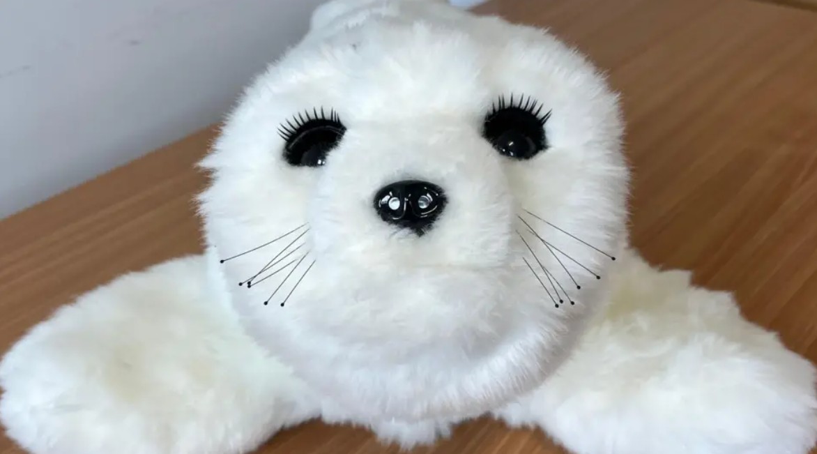 Robotic Seal Piloted in Kent To Help Mental Health Patients